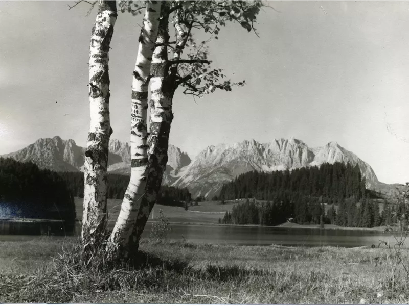 Ein schöner Ausblick auf die Berge mit einem ruhigen See im Vordergrund. Im Vordergrund stehen zwei Birkenbäume.