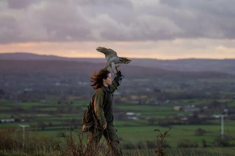 Eine Falknerin mit einem Habicht auf dem erhobenen Arm vor einer weiten Hügellandschaft bei Dämmerung.