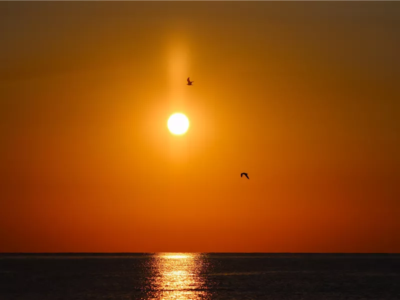 Ein schöner Sonnenuntergang über dem Meer. Zwei Vögel fliegen durch den orangefarbenen Himmel.