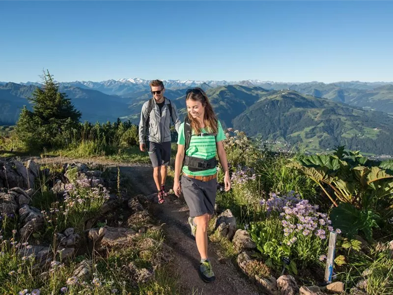 Zwei Wanderer gehen auf einem Pfad durch eine bergige Landschaft mit üppiger Vegetation. Im Hintergrund sind hohe Berge und ein klarer Himmel zu sehen.