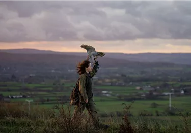 Eine Falknerin mit einem Habicht auf dem erhobenen Arm vor einer weiten Hügellandschaft bei Dämmerung.