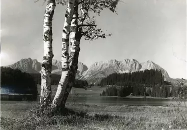 Schwarz-Weiß-Fotografie von Birken vor einem See und einer Bergkette.