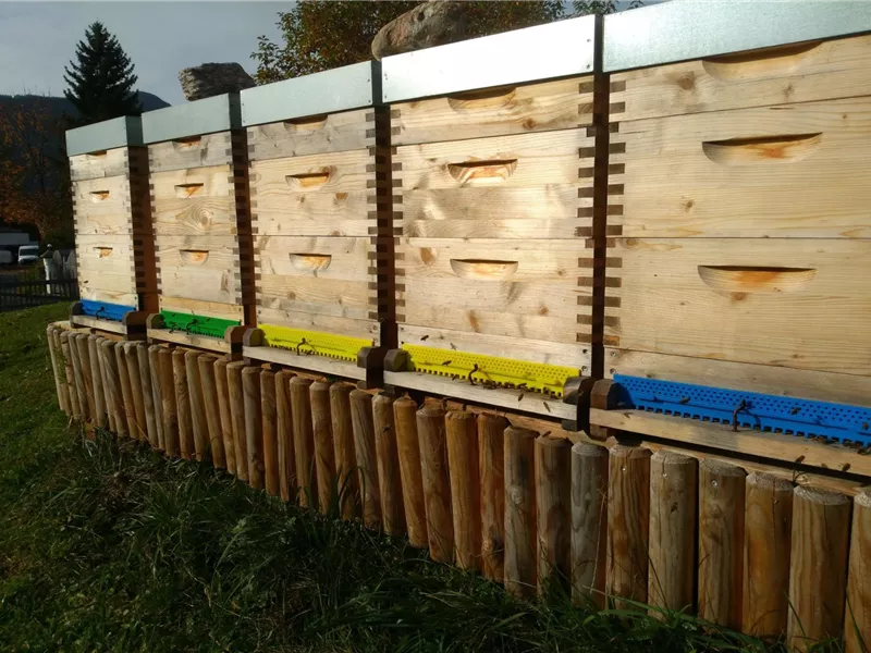 Bienenstöcke aus Holz stehen auf einem Holzsockel. Im Hintergrund sind Bäume und eine grüne Wiese zu sehen.