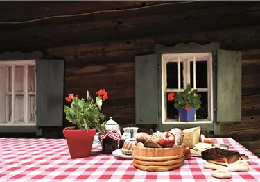 Ein rustikaler Tisch mit rotem Karomuster, gedeckt mit verschiedenen Lebensmitteln und Getränken. Die Fenster im Hintergrund sind mit Pflanzen dekoriert.