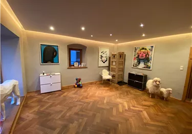 Ein modernes Wohnzimmer mit Holzfußboden und bunten Kunstwerken an den Wänden. Zwei Hunde stehen im Raum, und eine gemütliche Atmosphäre herrscht durch die indirekte Beleuchtung.