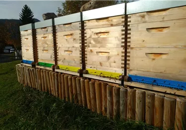 Bienenstöcke aus Holz stehen auf einem Holzsockel. Im Hintergrund sind Bäume und eine grüne Wiese zu sehen.